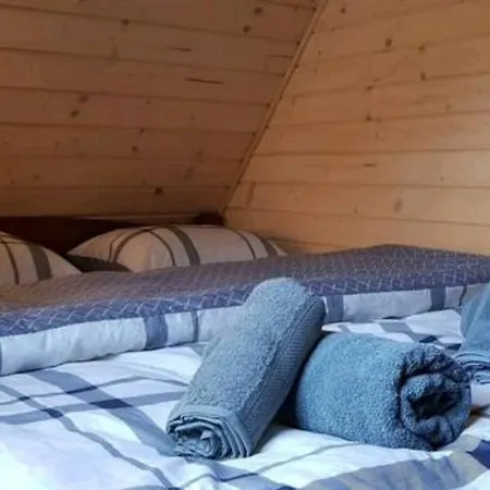 Wrzos W Beskidach Kamesznica