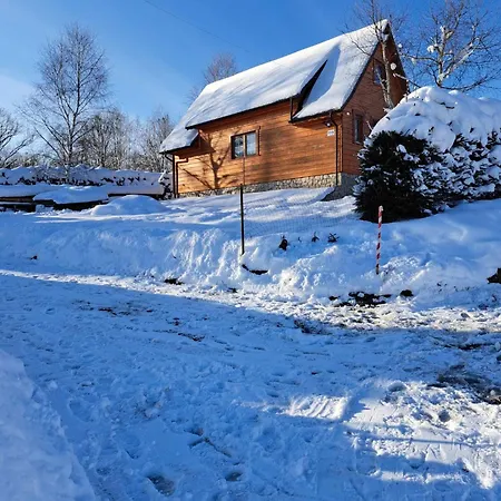 Wrzos W Beskidach Kamesznica