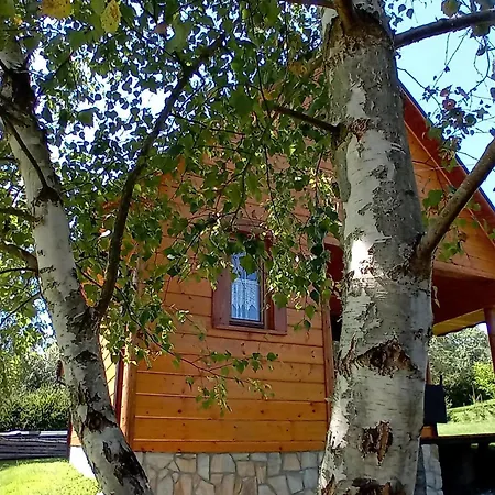 Wrzos W Beskidach * Kamesznica