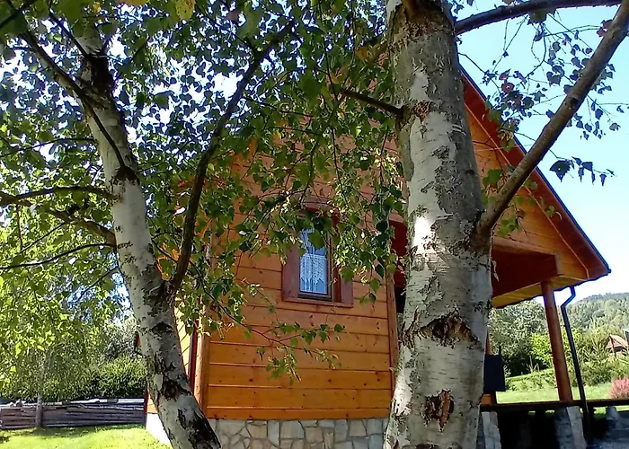 Wrzos W Beskidach * Kamesznica